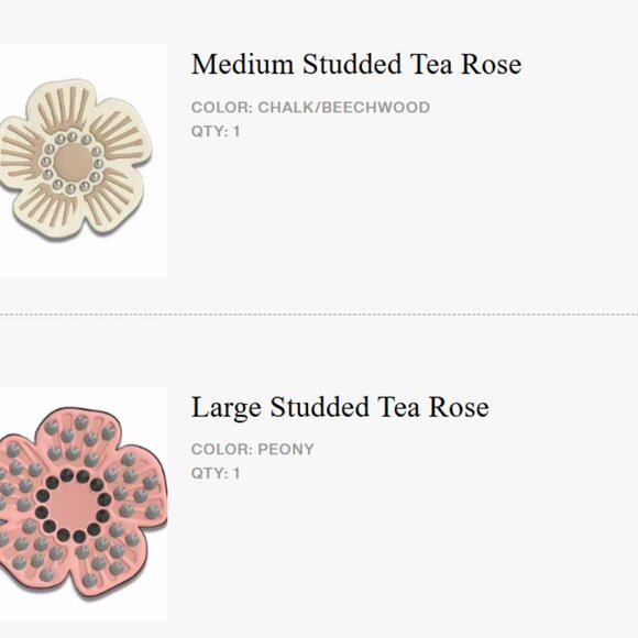 COACH Brooklyn Shoulder bag 28 with Tea Rose Customization NWT - Picture 9 of 10